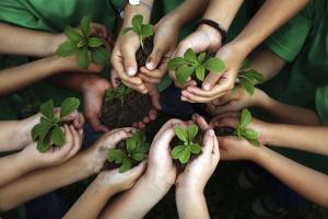 childrens_hands_w_plants.jpg